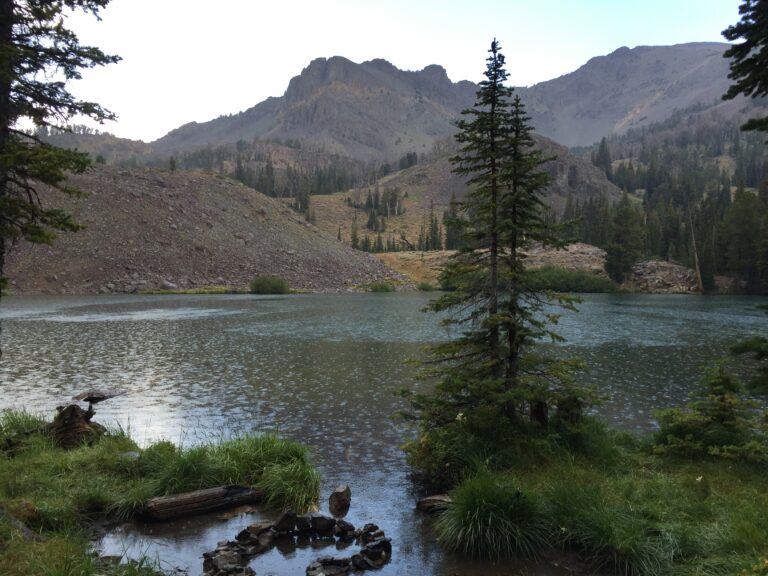 Fishing in Idaho: Exploring Iron Bog Lake, Fish Pole Lake, and Brockie Lake