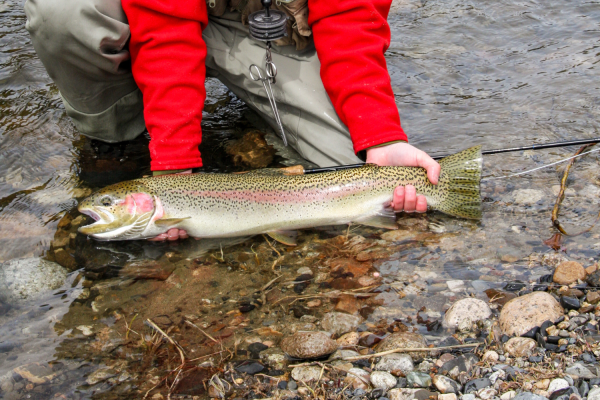 Fishing in Idaho