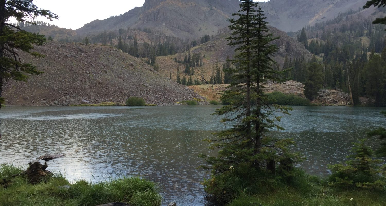 Iron Bog Lake Pioneer Mountains