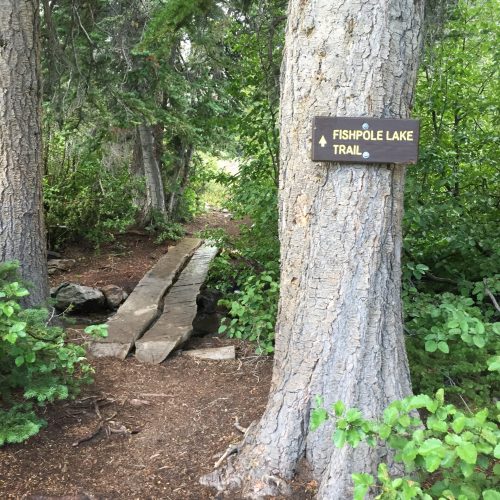 Trail leading to Fish Pole Lake