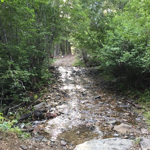 Creek Crossing