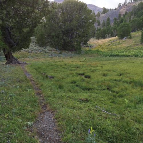 Trail to Brockie Lake